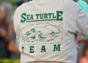 Sea Turtle Volunteers