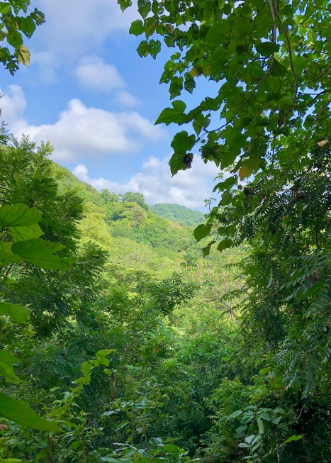 Dry Tropical Forested Hills